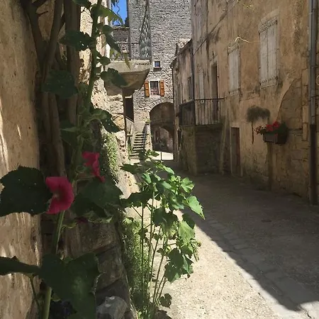 La Voute Dom wakacyjny Sainte-Eulalie-de-Cernon